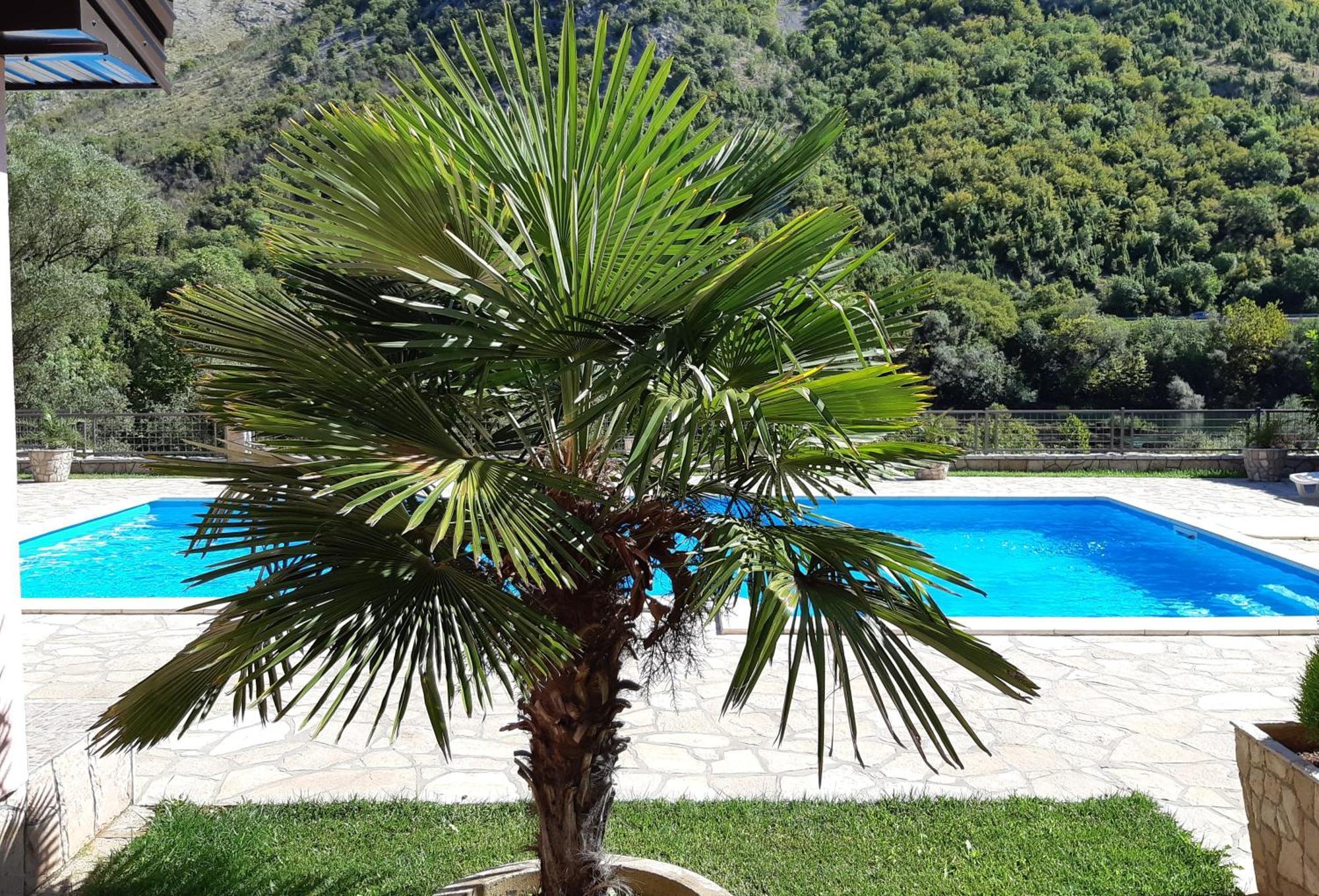 Hacienda Neretva Villa Buna ภายนอก รูปภาพ